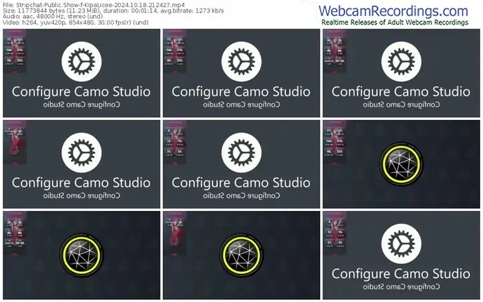 stripchat-kipalicee-10-18-2024-21-24-27