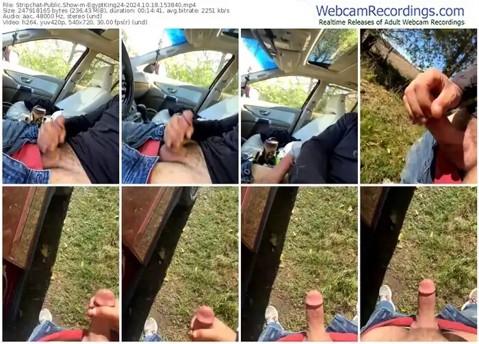 stripchat-egyptking24-10-18-2024-15-38-40