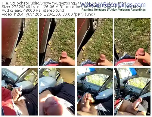 stripchat-egyptking24-10-18-2024-16-32-57