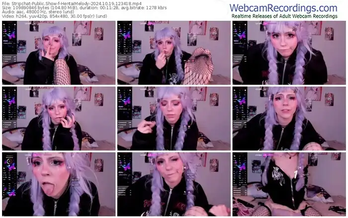 stripchat-hentaimelody-10-19-2024-12-34-18