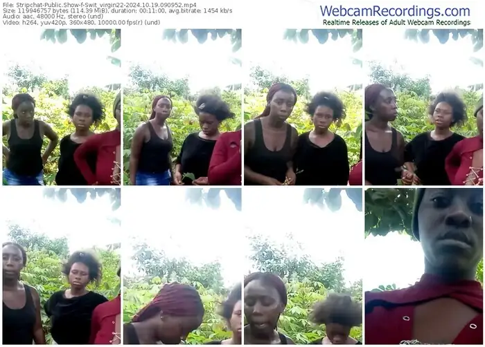 stripchat-swit_virgin22-10-19-2024-09-09-52
