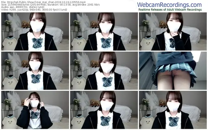 stripchat-mei_mei_chan-10-19-2024-12-05-56