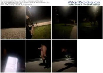 stripchat-xx_flame_xx-10-19-2024-21-56-46