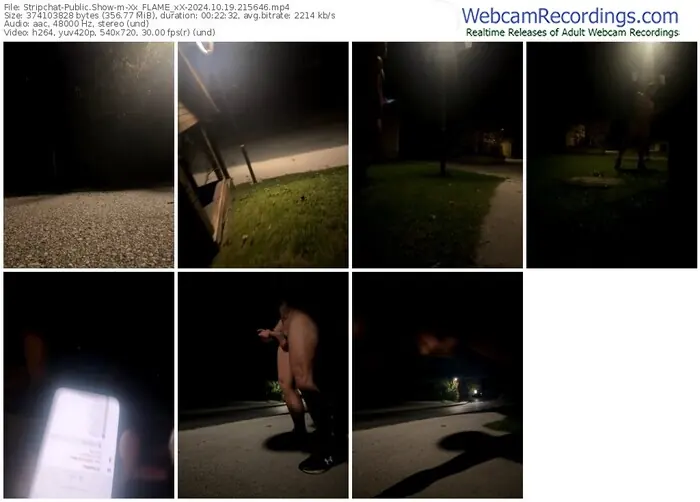 stripchat-xx_flame_xx-10-19-2024-21-56-46