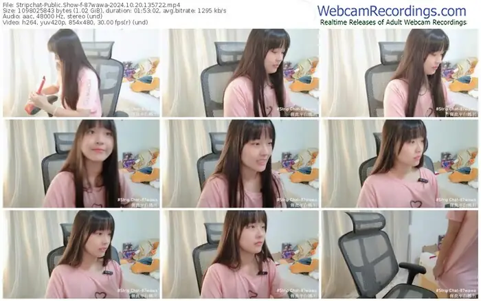 stripchat-87wawa-10-20-2024-13-57-22