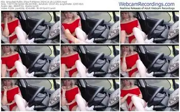 stripchat-antares-10-20-2024-12-26-03