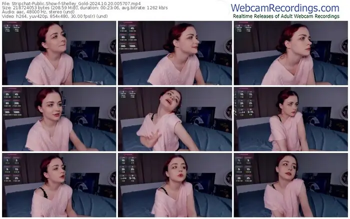 stripchat-shelley_gold-10-20-2024-00-57-07