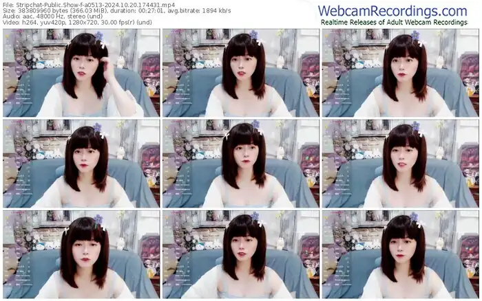 stripchat-a0513-10-20-2024-17-44-31