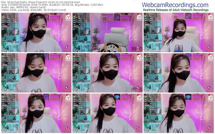 stripchat-hen237-10-20-2024-18-22-34