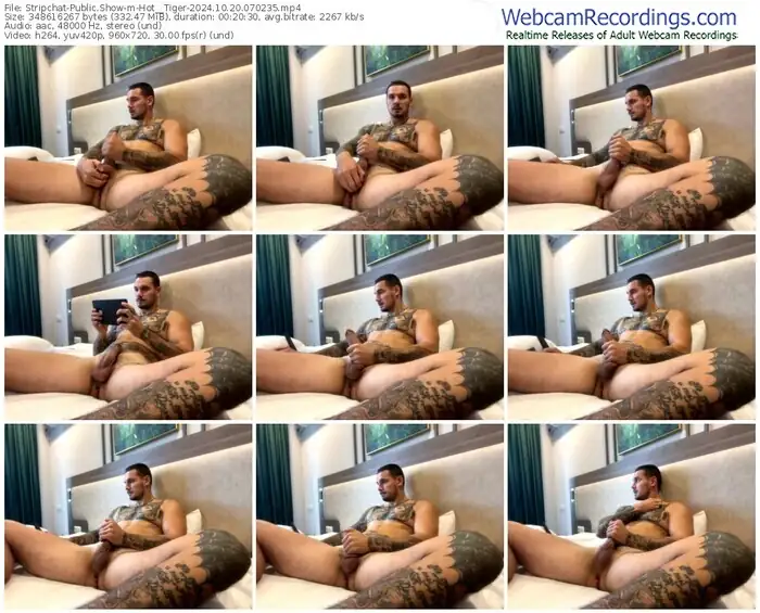 stripchat-hot__tiger-10-20-2024-07-02-35