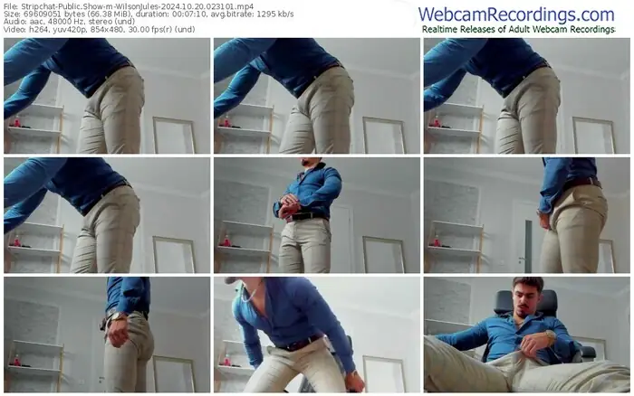 stripchat-wilsonjules-10-20-2024-02-31-01