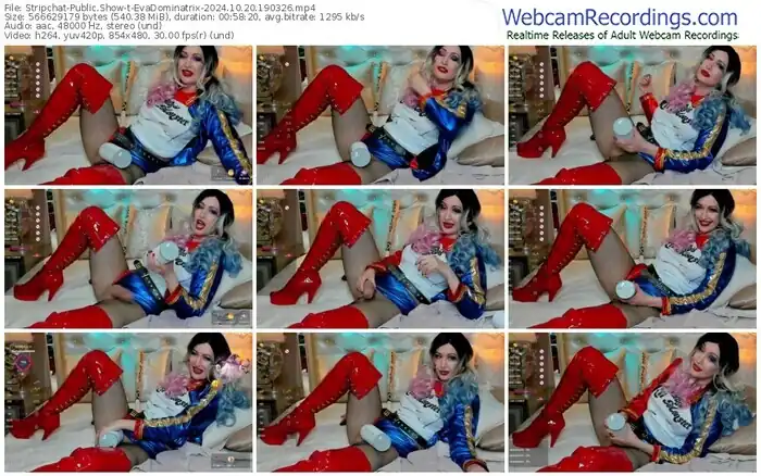 stripchat-evadominatrix-10-20-2024-19-03-26