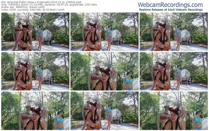 stripchat-foglove69-10-21-2024-19-58-23