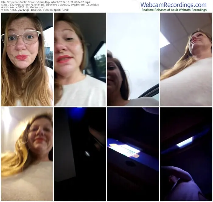 stripchat-s1nfullypurrfuct-10-21-2024-00-34-37