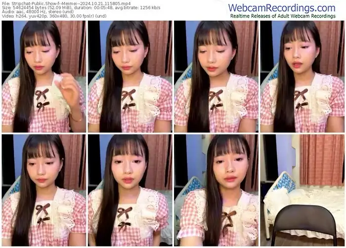 stripchat--meimei--10-21-2024-11-58-05