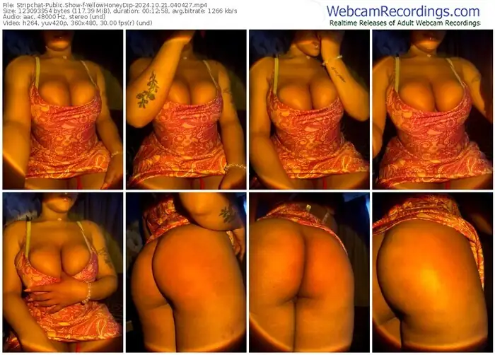 stripchat-yellowhoneydip-10-21-2024-04-04-27