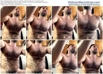 stripchat-adonis_art01-10-21-2024-16-43-11