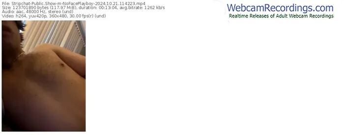 stripchat-nofaceplayboy-10-21-2024-11-42-23