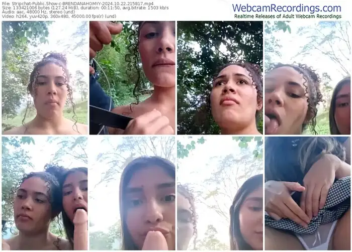 stripchat-brendanahomyy-10-22-2024-21-58-17