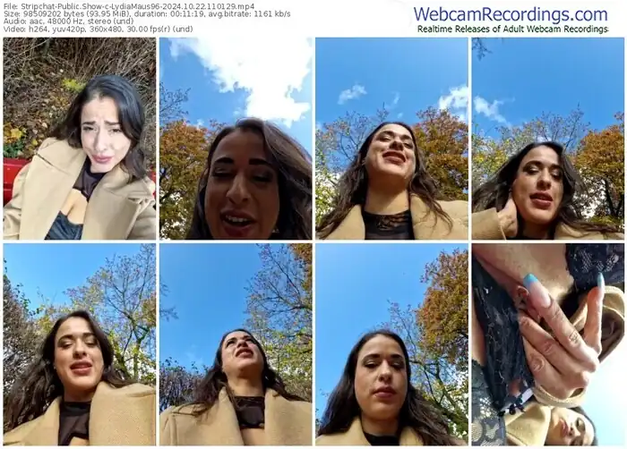 stripchat-lydiamaus96-10-22-2024-11-01-29