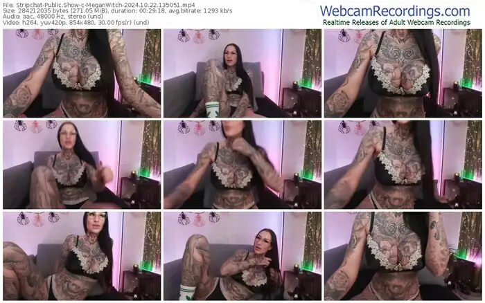 stripchat-meganwitch-10-22-2024-13-50-51