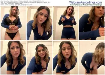 stripchat-theprincess101-10-22-2024-22-34-13