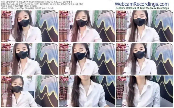 stripchat-karin-baongoc-10-22-2024-07-18-53