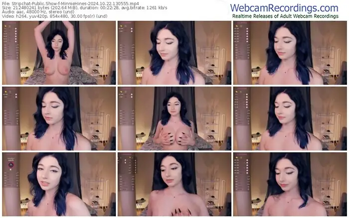 stripchat-minniehines-10-22-2024-13-05-55