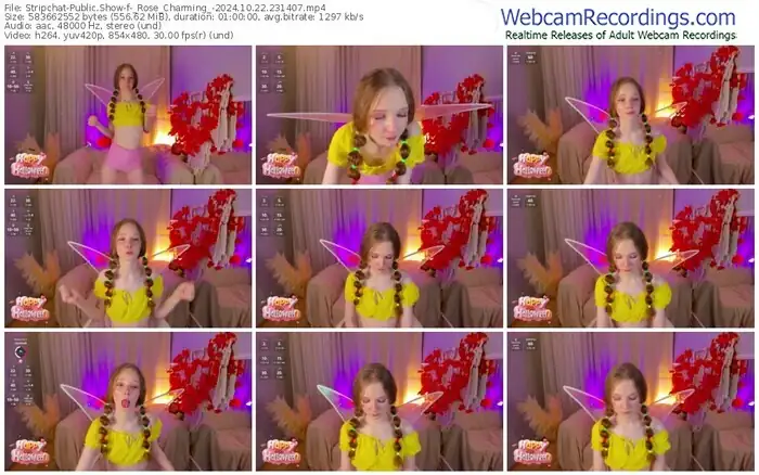 stripchat-_rose_charming_-10-22-2024-23-14-07