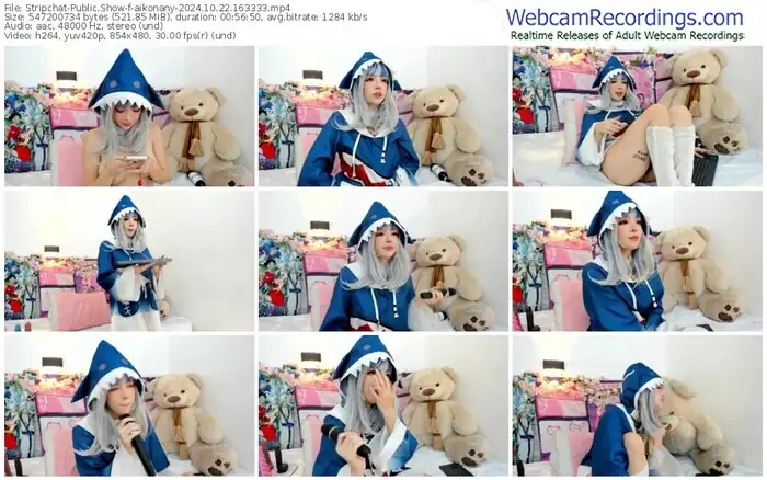 stripchat-aikonany-10-22-2024-16-33-33