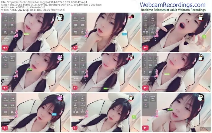 stripchat-mengyao1314-10-22-2024-06-08-42