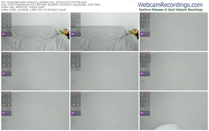 stripchat-u_needed_me_-10-22-2024-15-47-28