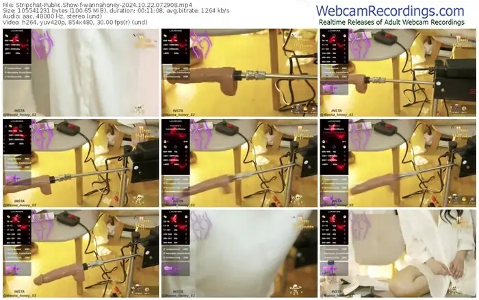 stripchat-wannahoney-10-22-2024-07-29-08