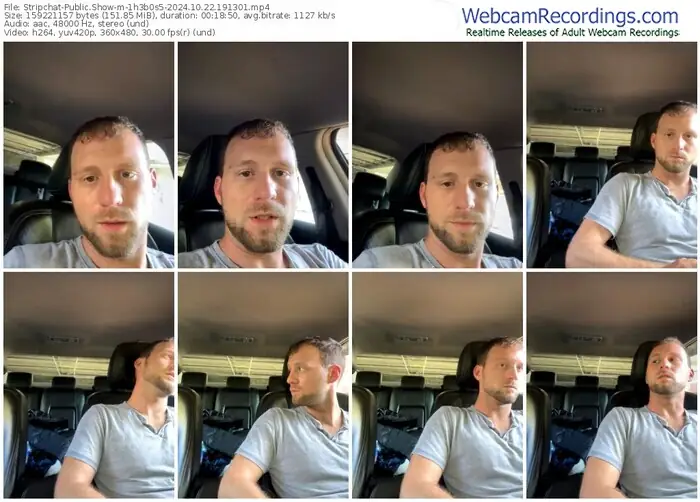 stripchat-1h3b0s5-10-22-2024-19-13-01