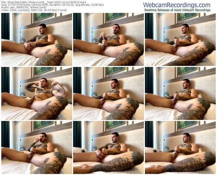 stripchat-hot__tiger-10-22-2024-06-04-32