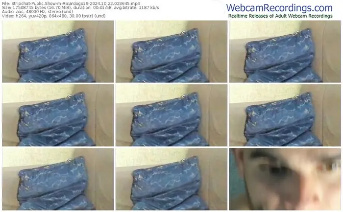 stripchat-ricardogo19-10-22-2024-02-36-45