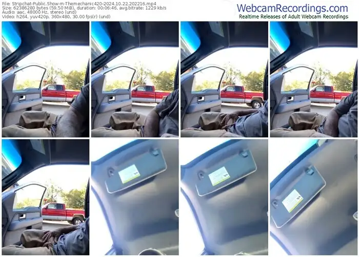 stripchat-themechanic420-10-22-2024-20-22-16