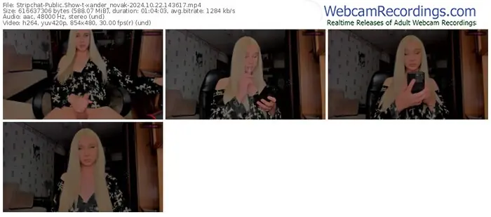 stripchat-xander_novak-10-22-2024-14-36-17