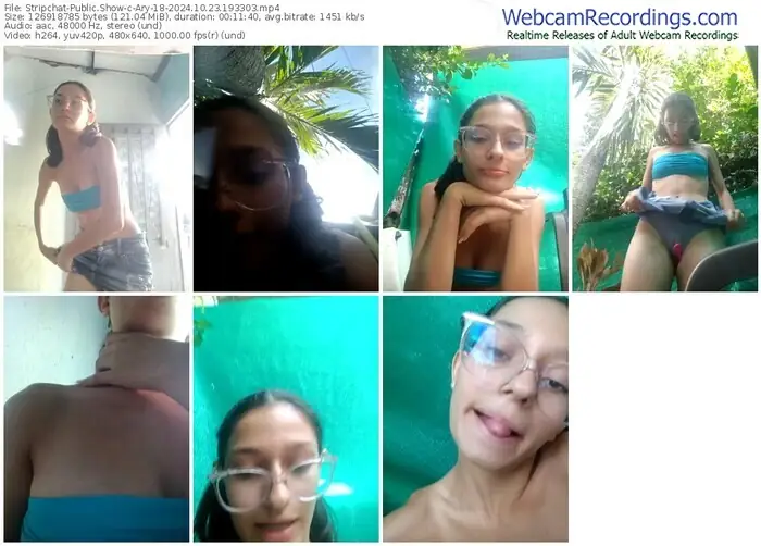 stripchat-ary-18-10-23-2024-19-33-03