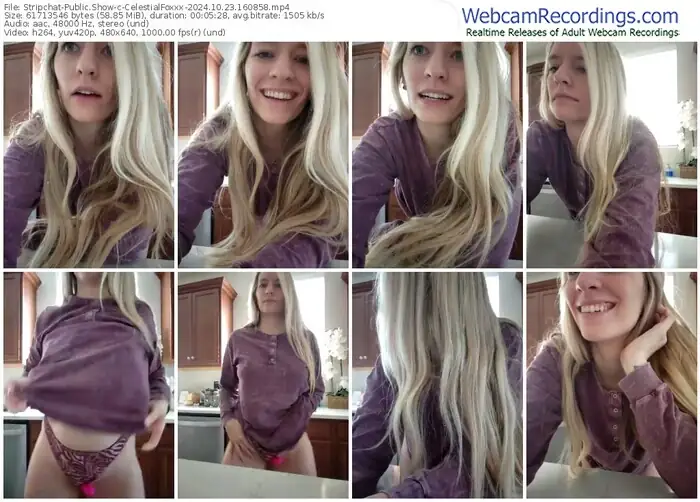 stripchat-celestialfoxxx-10-23-2024-16-08-58