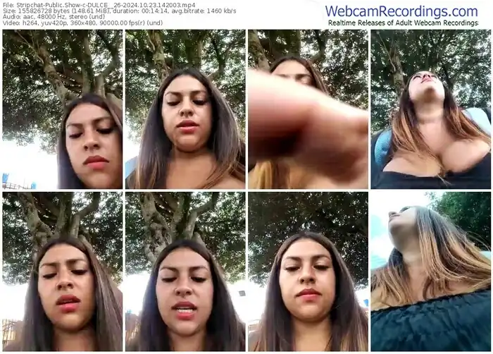 stripchat-dulce__26-10-23-2024-14-20-03