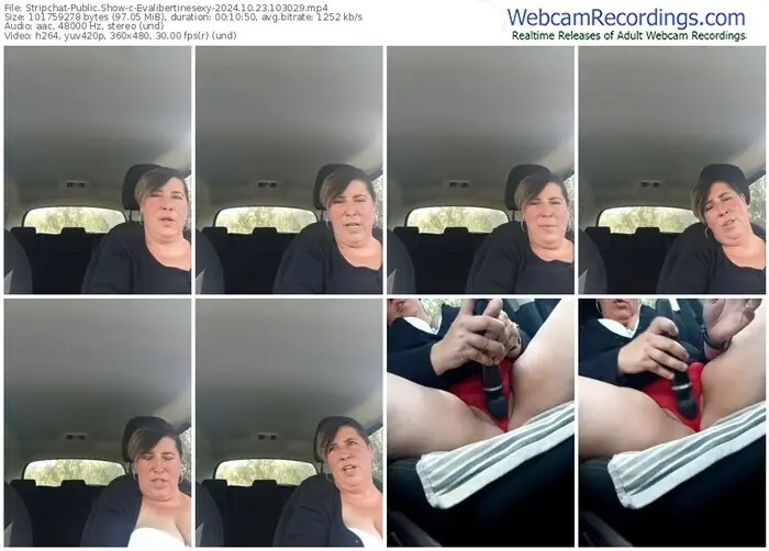 stripchat-evalibertinesexy-10-23-2024-10-30-29