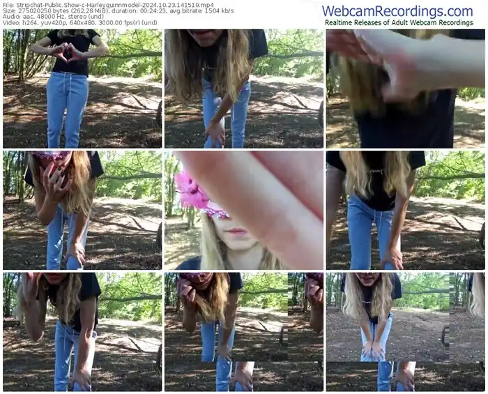 stripchat-harleyquinnmodel-10-23-2024-14-15-19