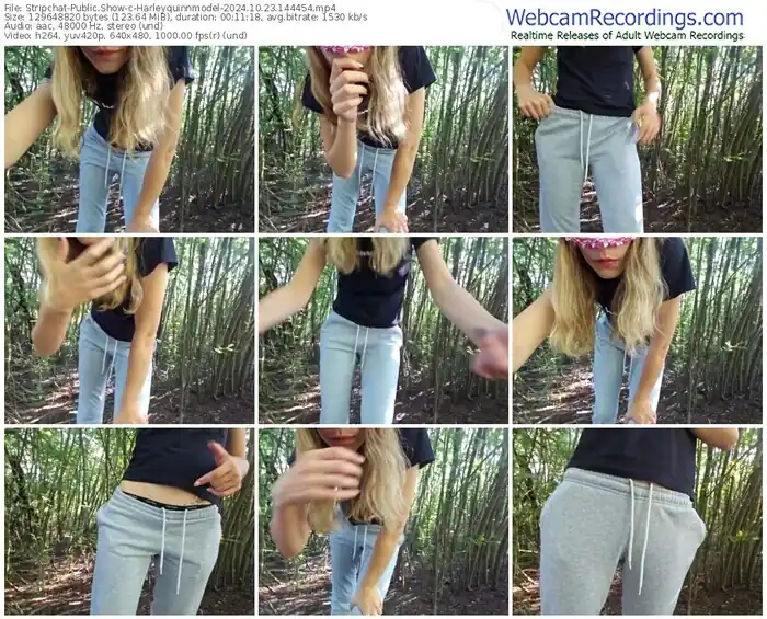 stripchat-harleyquinnmodel-10-23-2024-14-44-54