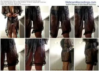 stripchat-sexyhoney20-10-23-2024-04-17-50