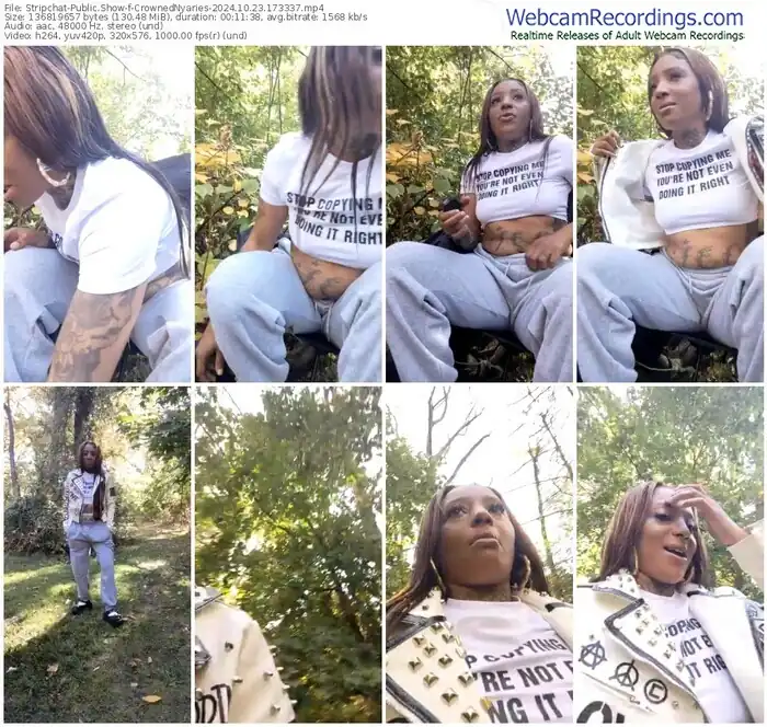 stripchat-crownednyaries-10-23-2024-17-33-37