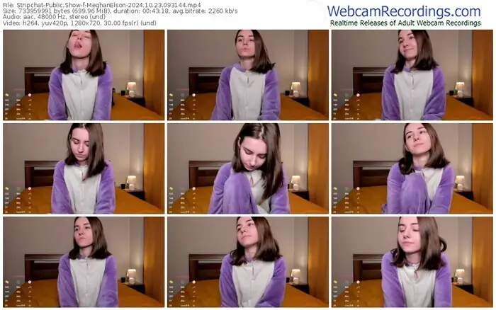 stripchat-meghanelson-10-23-2024-09-31-44