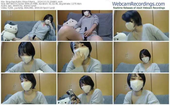 stripchat-rena__-10-23-2024-23-48-01