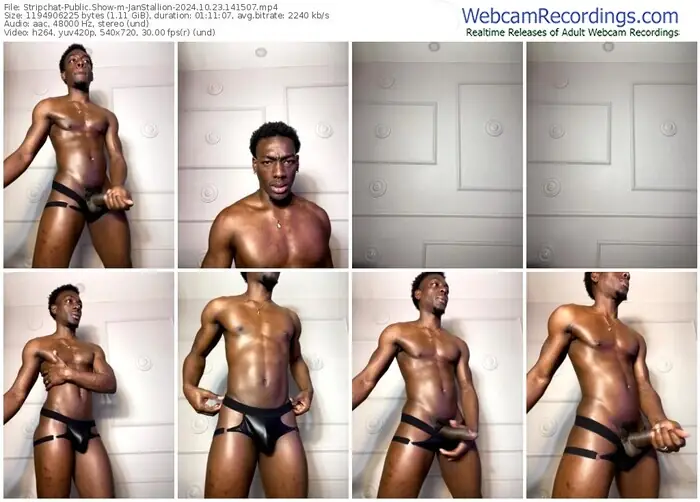 stripchat-janstallion-10-23-2024-14-15-07