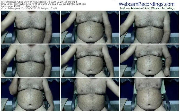 stripchat-hairysubcub_70-10-23-2024-13-00-49